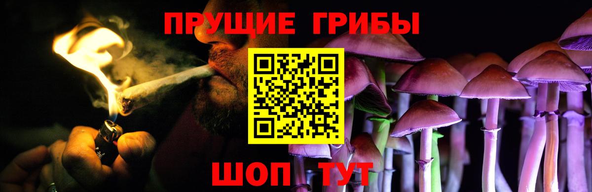 Алексин  Галлюциногенные грибы прущие грибы  Псилоцибиновые грибы Cubensis  Вход с VPN 